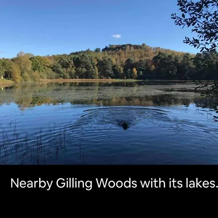 The Parcel Shed * 길링 이스턴